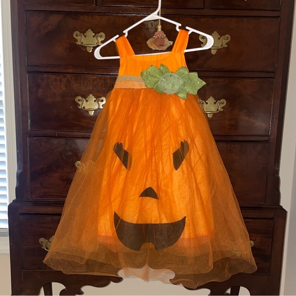 Pottery Barn Pumpkin Costume - Picture 1 of 6